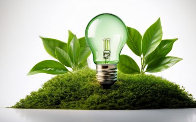 Ampoule économie d’énergie, comment choisir ?